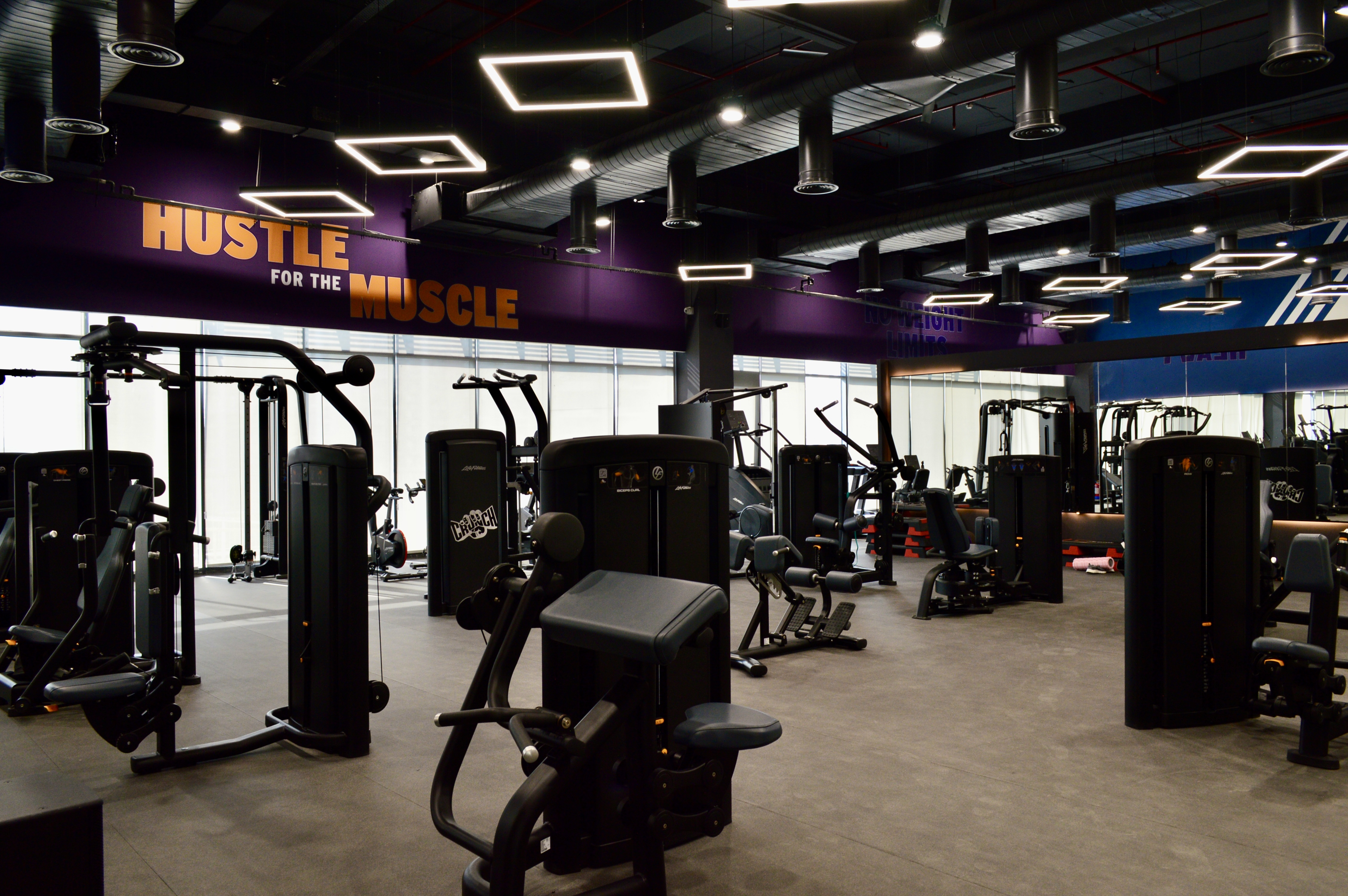 Best Profitable Gym Franchises in India