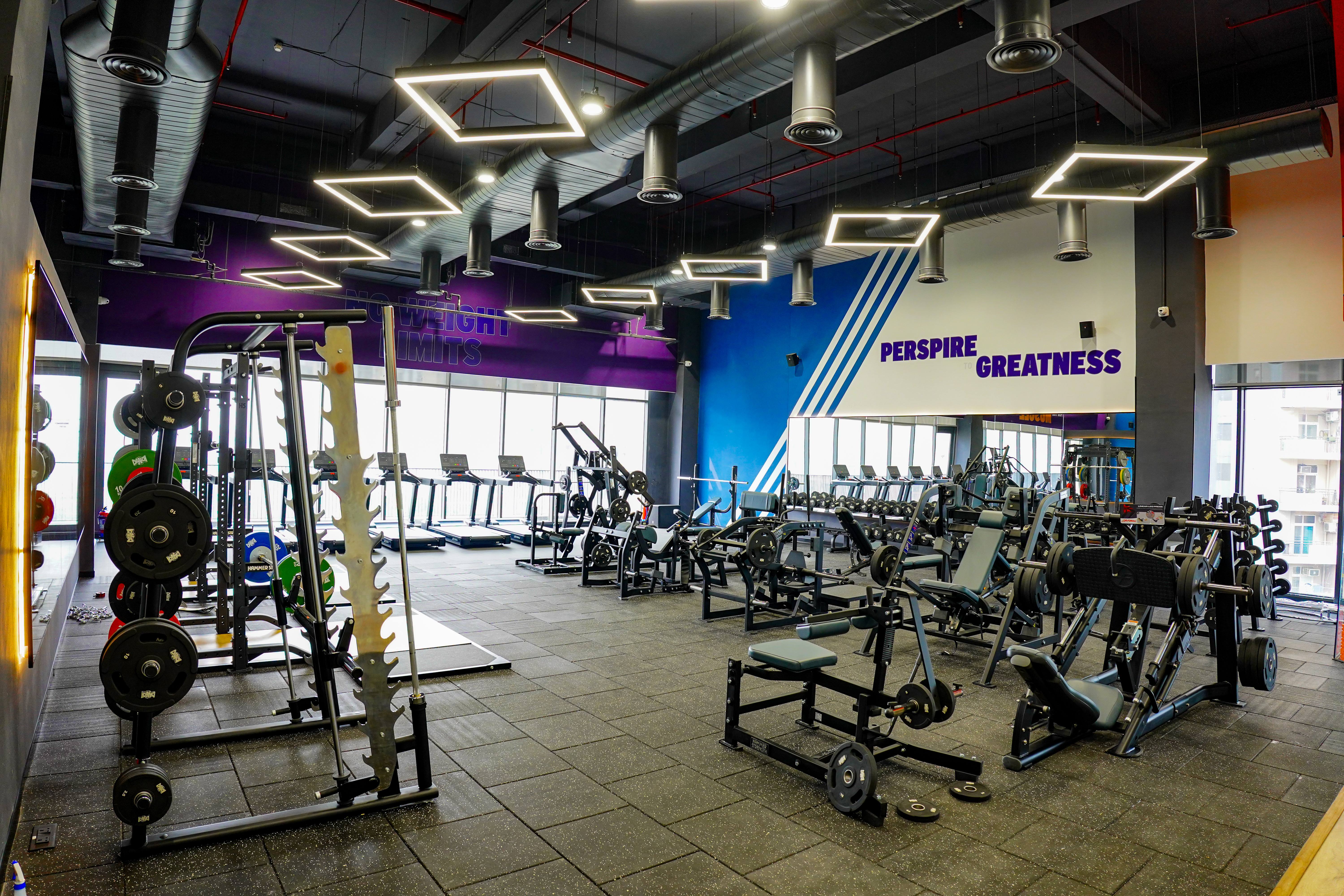Best Gym Franchise Models for First Time Business Owners